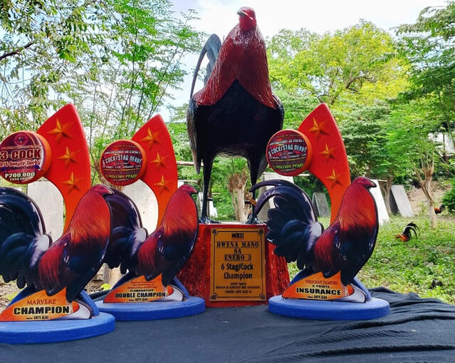 Current Year Trophies