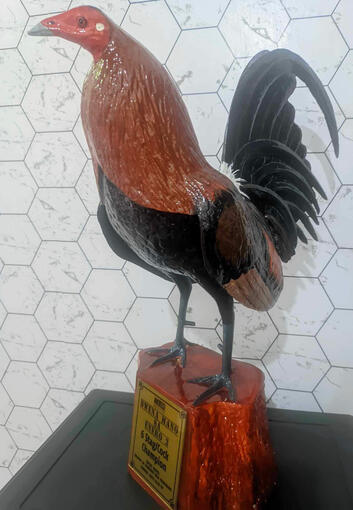 Buena Mano Sa Enero 3 Champion!!!