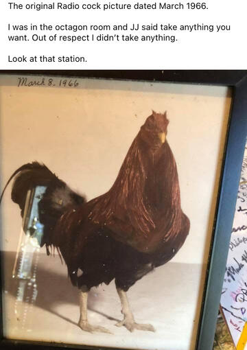 Original Radio Cock